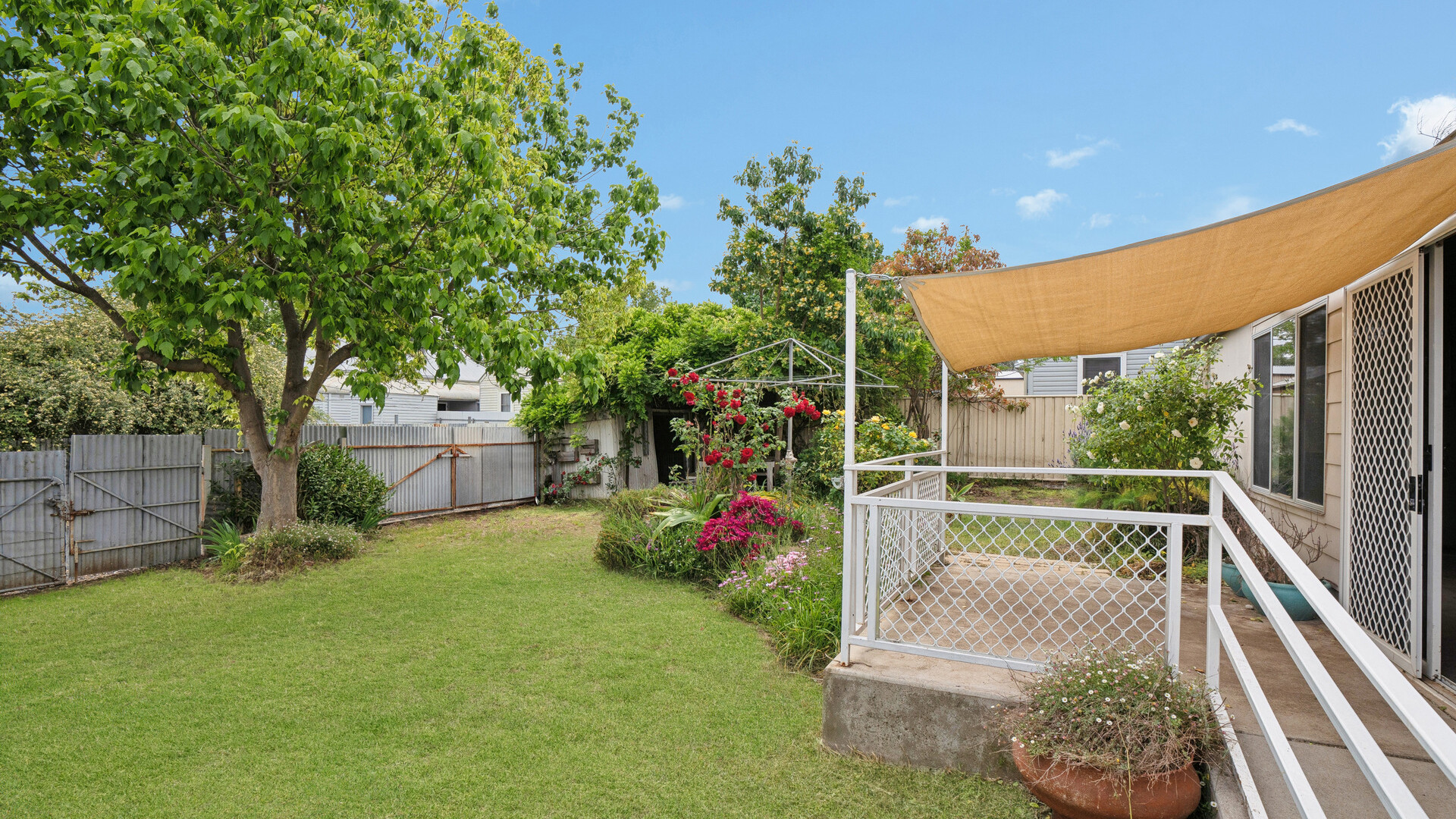 16 Willans Street, Narrandera NSW 2700 - photo 16