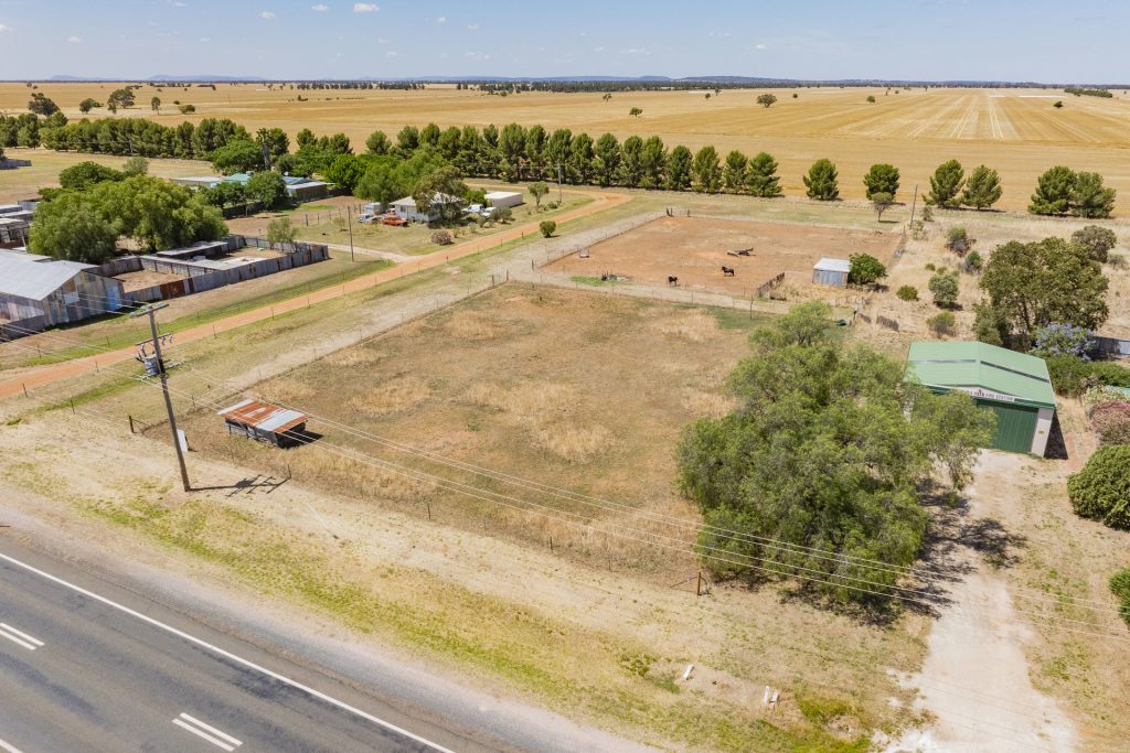 21 Francis Street, Binya NSW 2665 - photo 14
