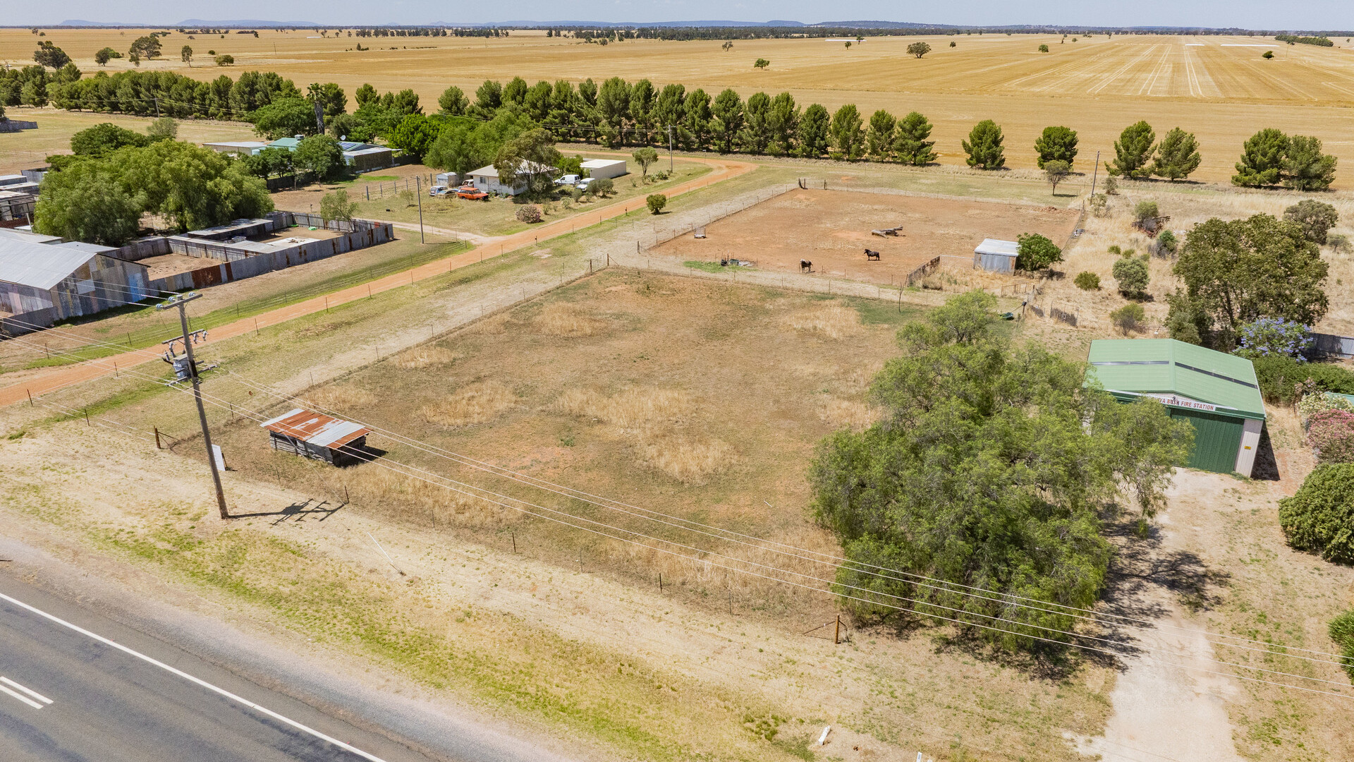 21 Francis Street, Binya NSW 2665 - photo 14