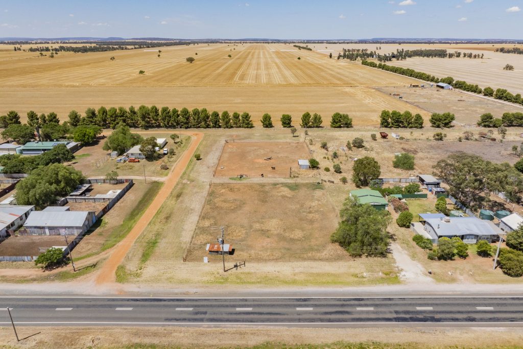 21 Francis Street, Binya NSW 2665 - photo 16