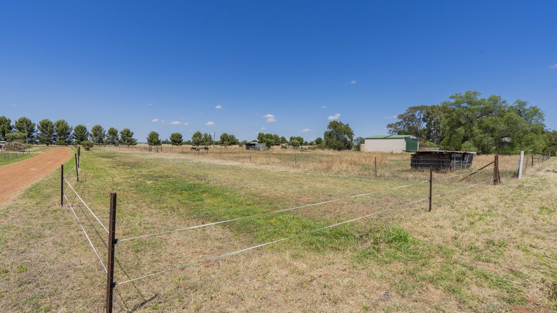21 Francis Street, Binya NSW 2665 - photo 18