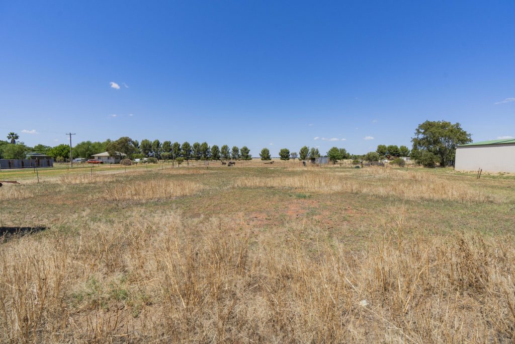 21 Francis Street, Binya NSW 2665 - photo 4