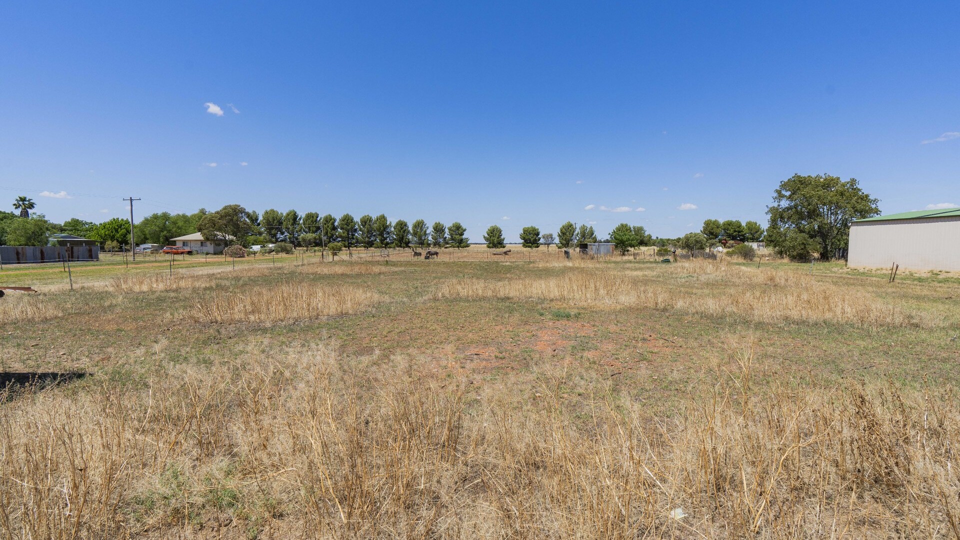 21 Francis Street, Binya NSW 2665 - photo 4