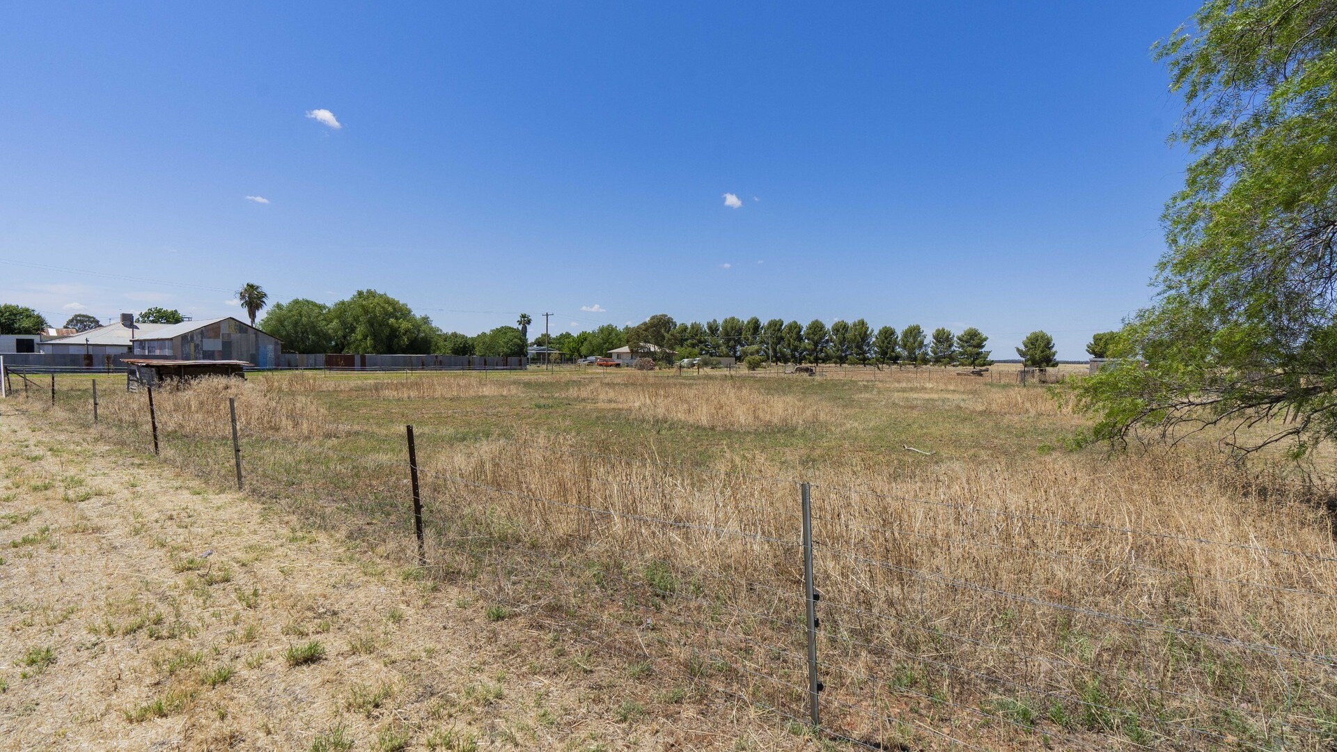 21 Francis Street, Binya NSW 2665 - photo 5