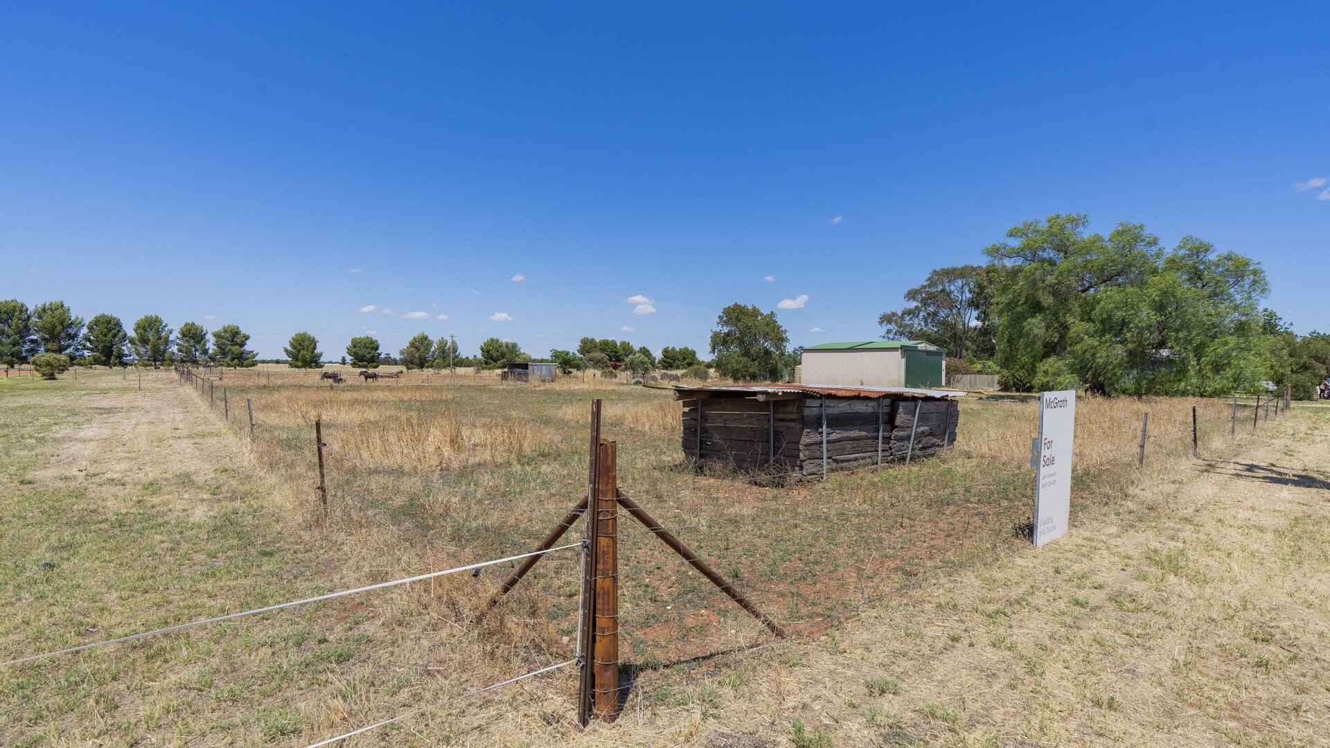 21 Francis Street, Binya NSW 2665 - photo 6