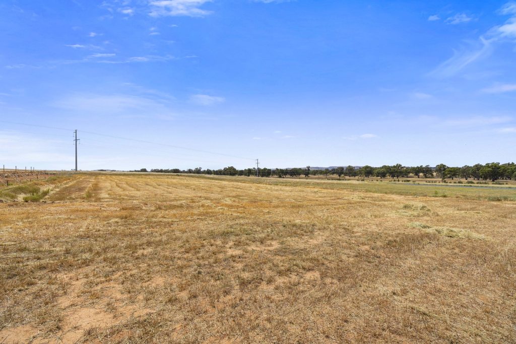 11 Salamander Way, Gumly Gumly NSW 2652 - photo 6