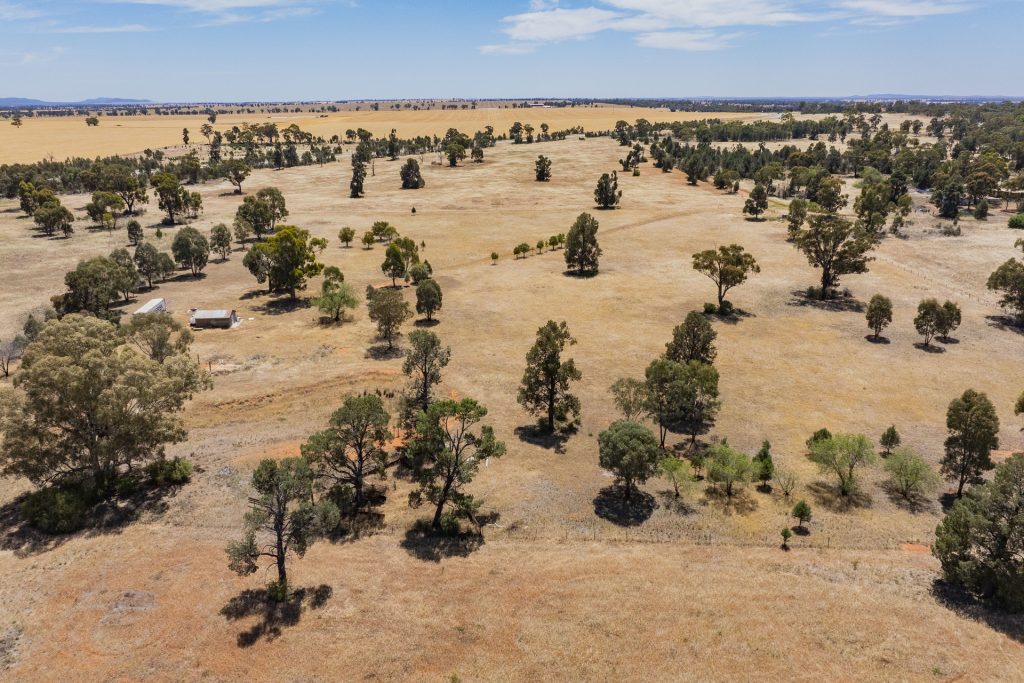 38 Boree Street, Grong Grong NSW 2652 - photo 3