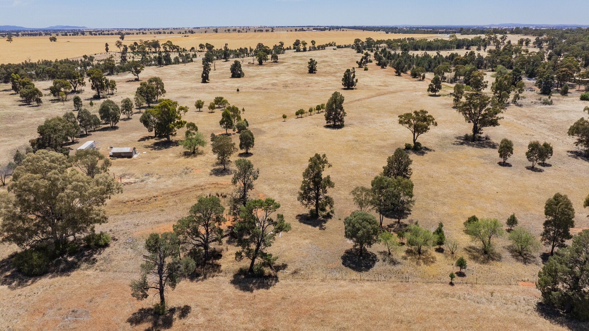 38 Boree Street, Grong Grong NSW 2652 - photo 3