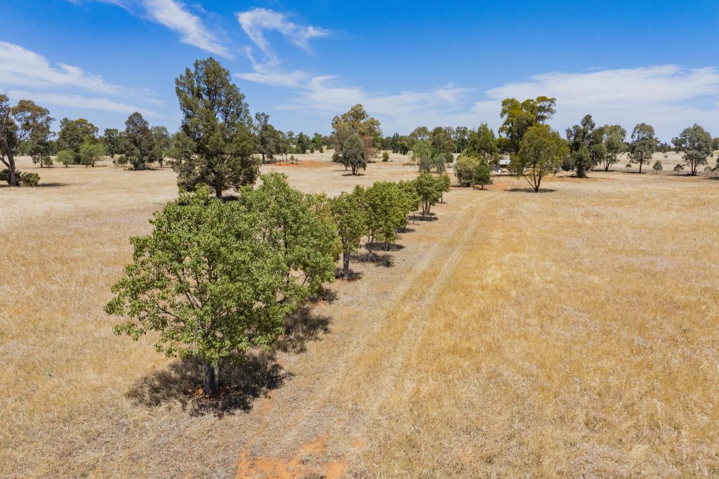 38 Boree Street, Grong Grong NSW 2652 - photo 4