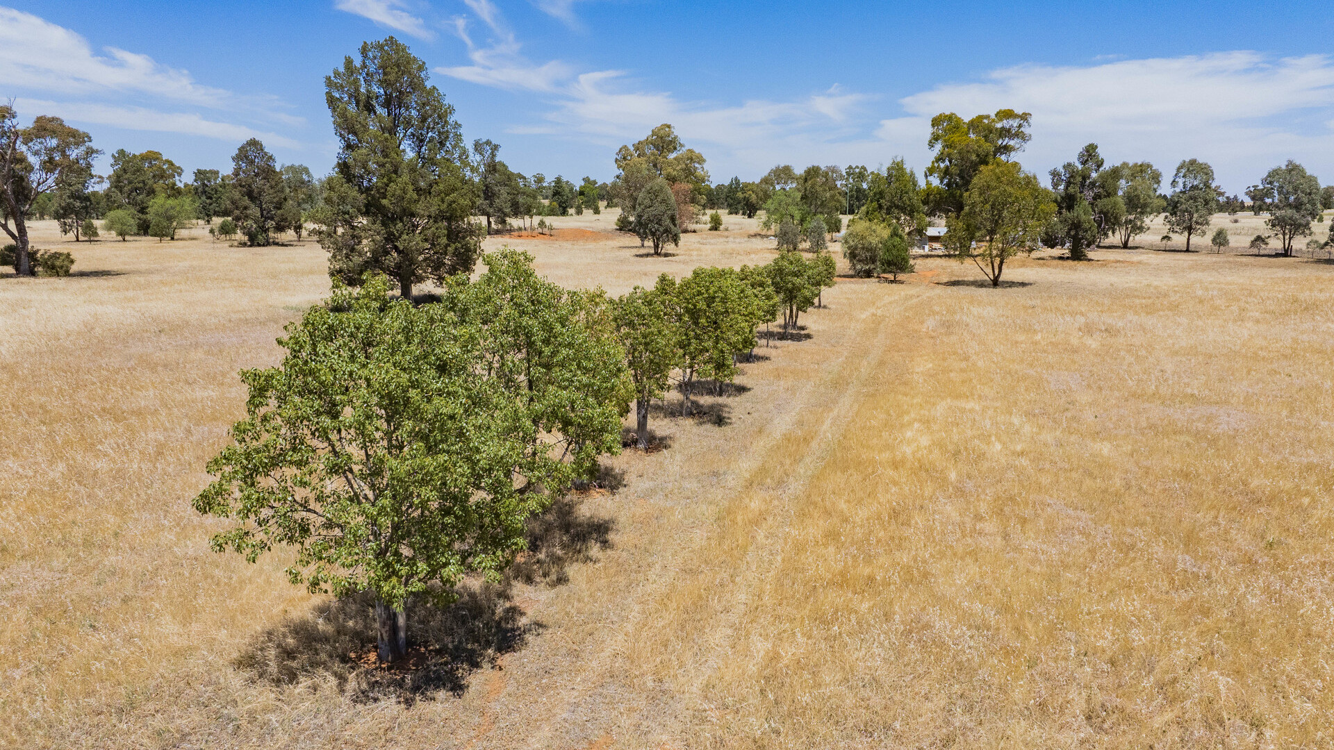 38 Boree Street, Grong Grong NSW 2652 - photo 4