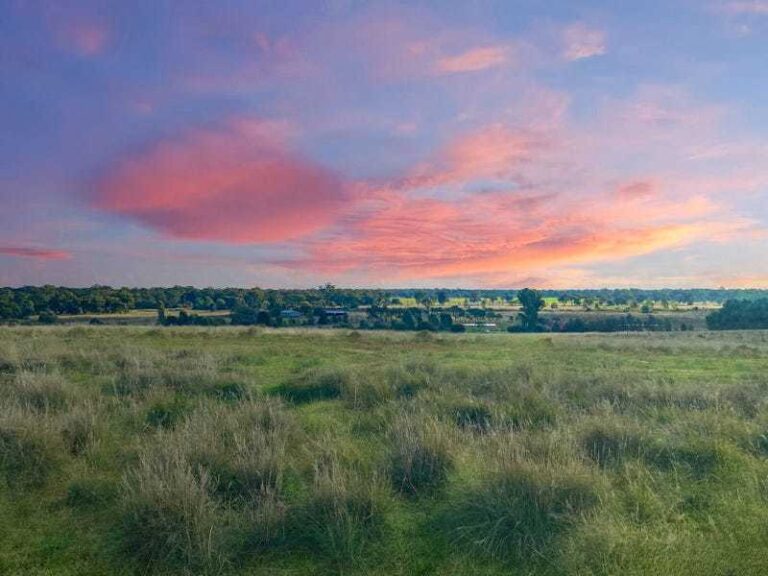 Sold - 1 Hillview Close - New Property in Narrandera - Real Estate by Sophie Litchfield