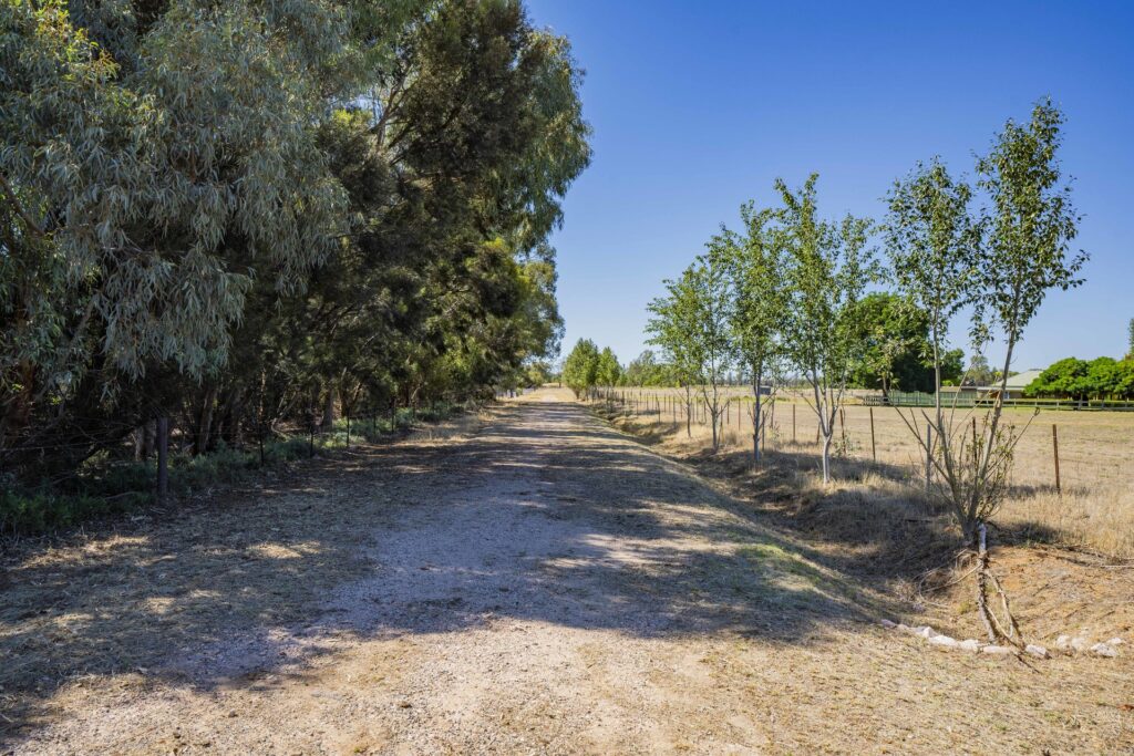 Sold - 134 Almond Road - New Property in Leeton - Real Estate by Julie Valenzisi