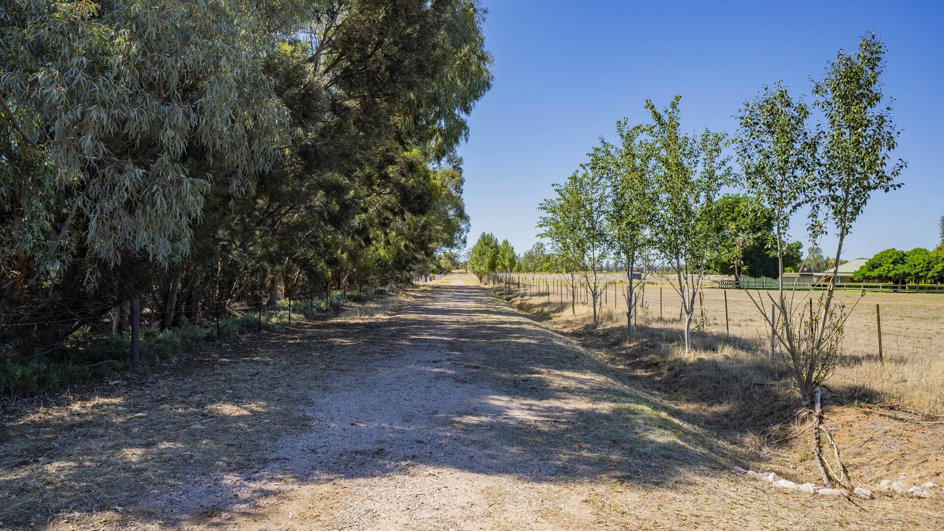 Sold - 134 Almond Road - New Property in Leeton - Real Estate by Julie Valenzisi