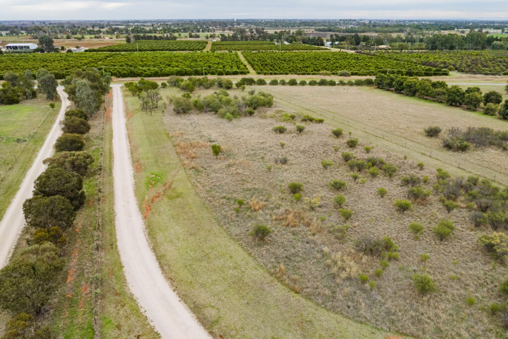 102 Tabain Road, Leeton NSW 2705 - photo 19