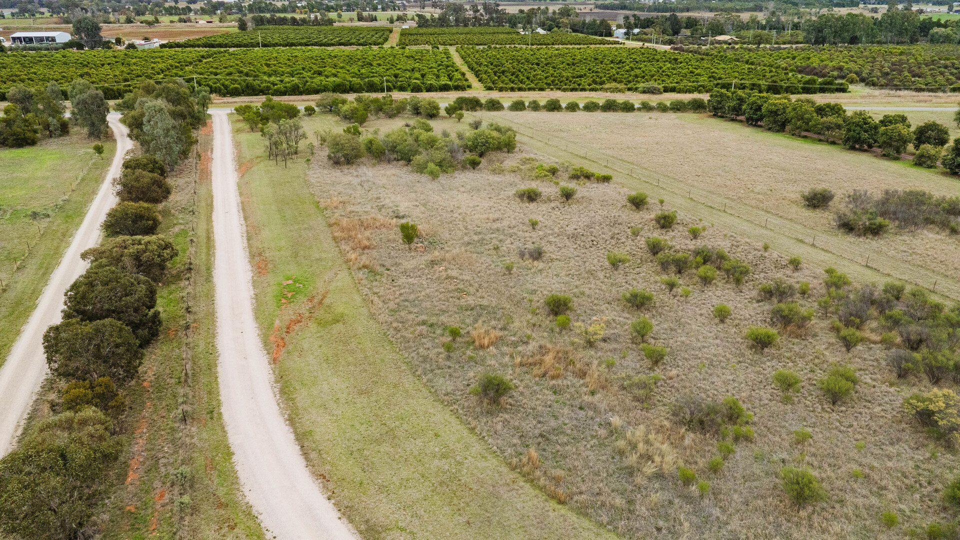 102 Tabain Road, Leeton NSW 2705 - photo 19