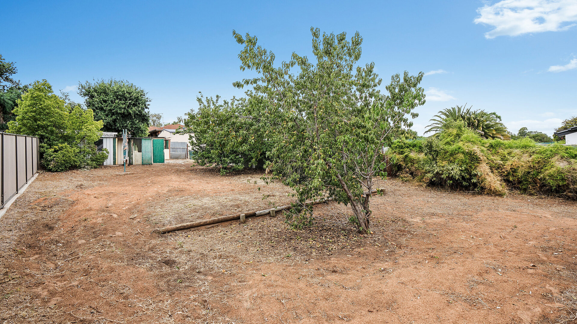 24 Larmer Street, Narrandera NSW 2700 - photo 12