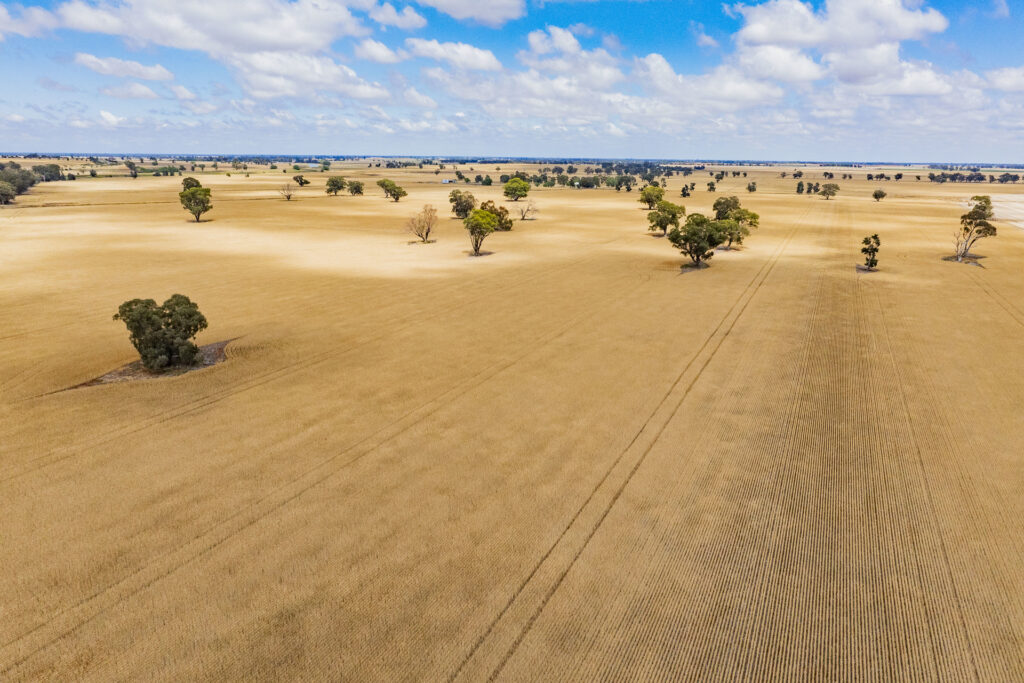 Sold - 1757 Berrigan Road - New Property in Berrigan - Real Estate by Jason Haines