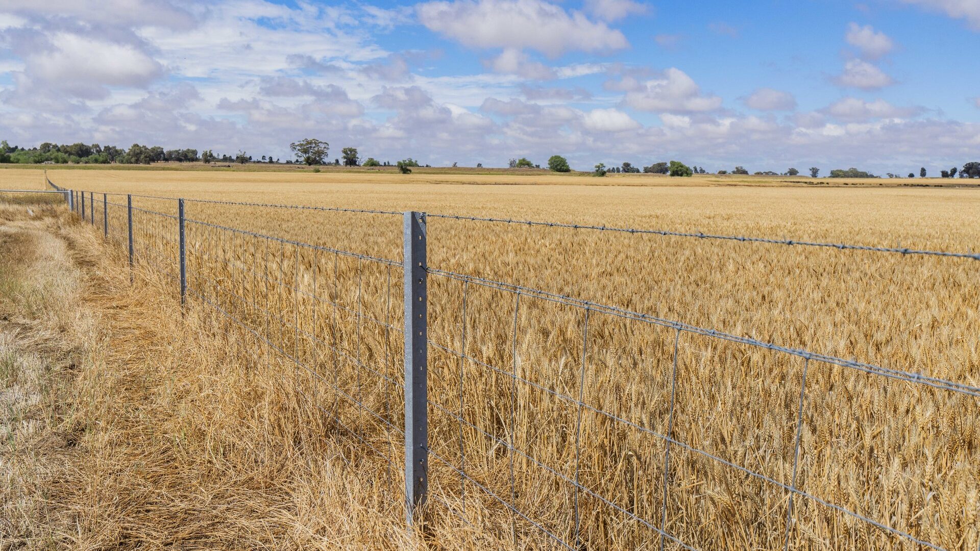 Sold - 1757 Berrigan Road - New Property in Berrigan - Real Estate by Jason Haines