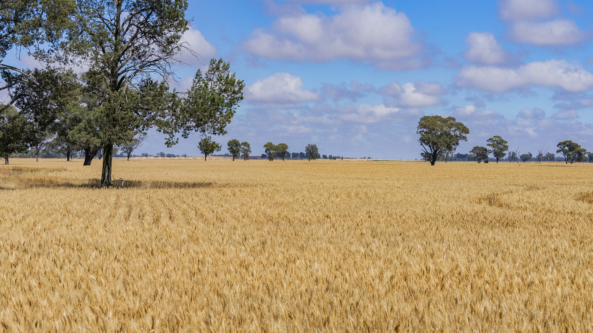 Sold - 1757 Berrigan Road - New Property in Berrigan - Real Estate by Jason Haines
