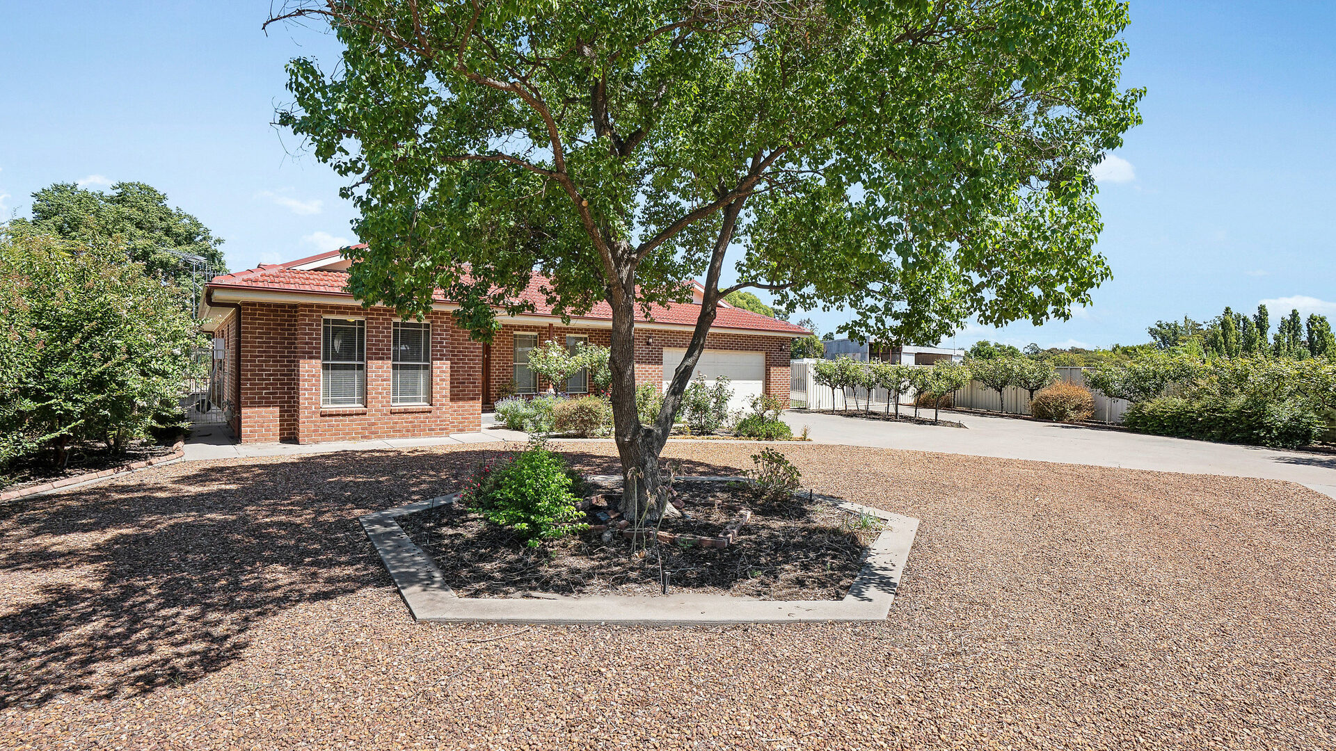 Sold - 132A Palm Ave - New Property in Leeton - Real Estate by Julie Valenzisi