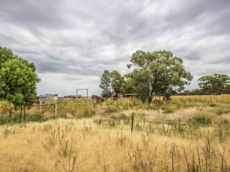 675 Johns Road, Barellan NSW 2665 - photo 3
