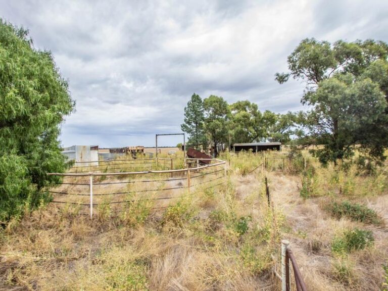 675 Johns Road, Barellan NSW 2665 - photo 4