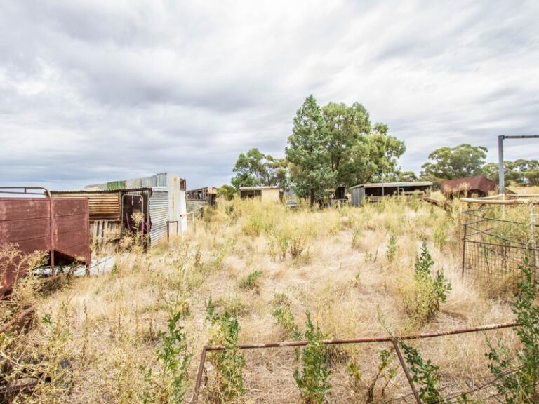 675 Johns Road, Barellan NSW 2665 - photo 5