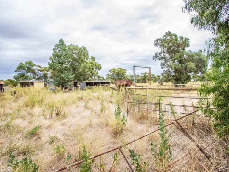 675 Johns Road, Barellan NSW 2665 - photo 6