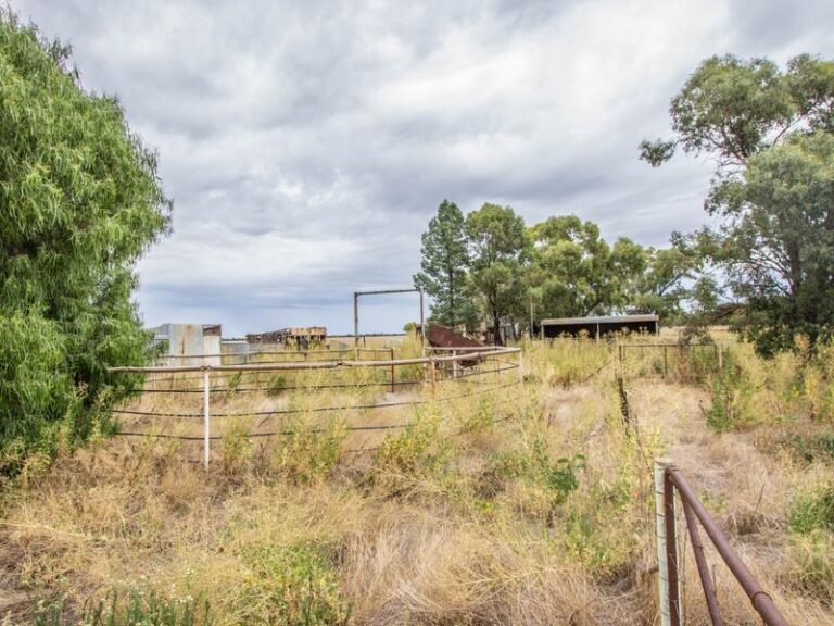 675 Johns Road, Barellan NSW 2665 - McGrath Riverina