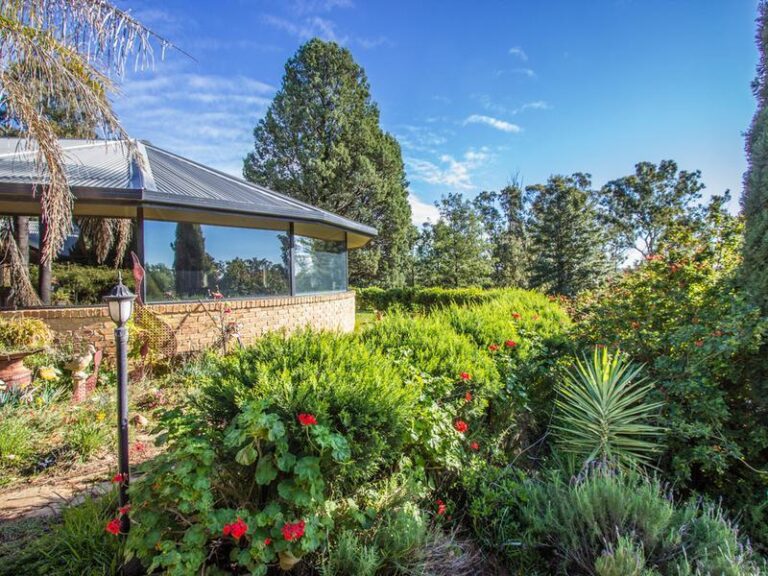191 Manderlay Road, Narrandera NSW 2700 - photo 3