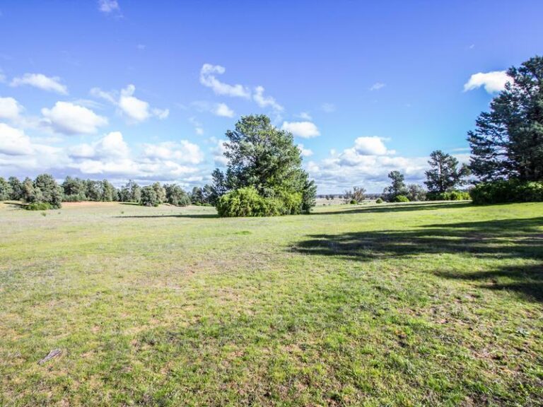 191 Manderlay Road, Narrandera NSW 2700 - photo 26