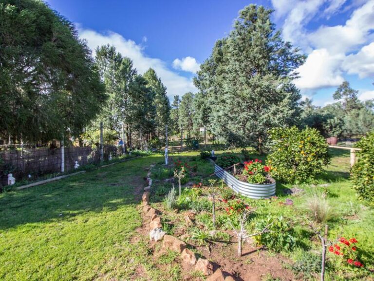191 Manderlay Road, Narrandera NSW 2700 - photo 27