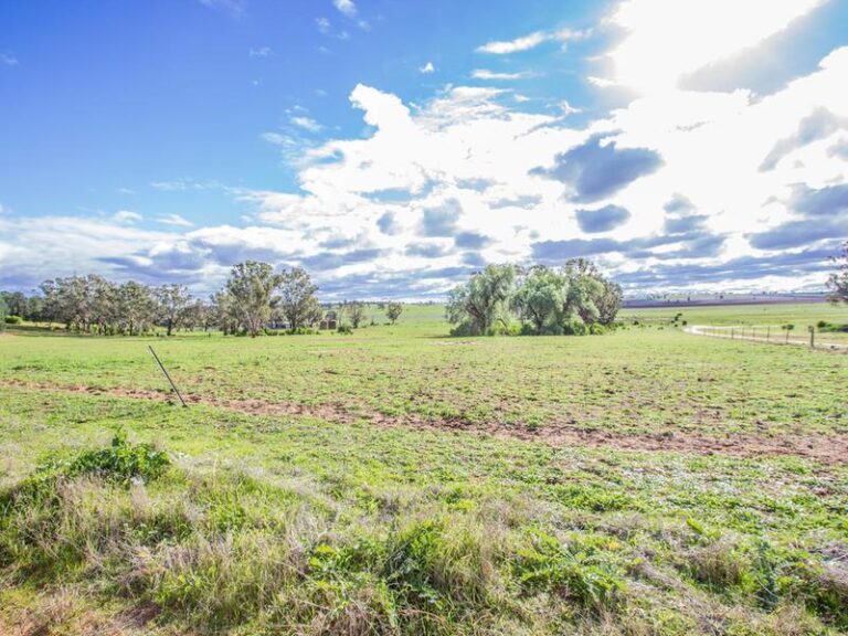 191 Manderlay Road, Narrandera NSW 2700 - photo 28