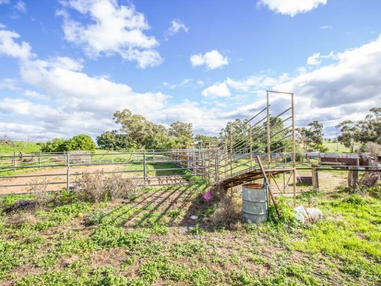 191 Manderlay Road, Narrandera NSW 2700 - photo 29