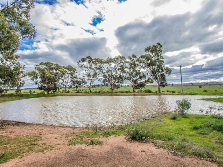191 Manderlay Road, Narrandera NSW 2700 - photo 30
