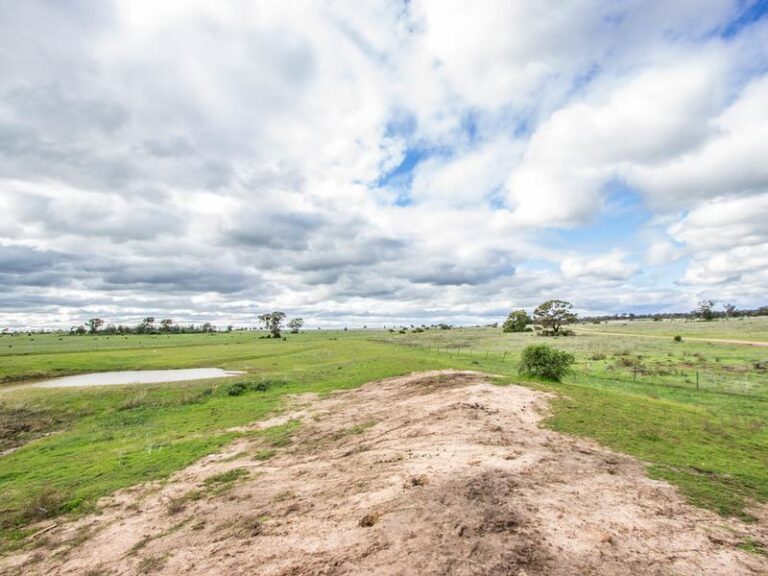 191 Manderlay Road, Narrandera NSW 2700 - photo 31