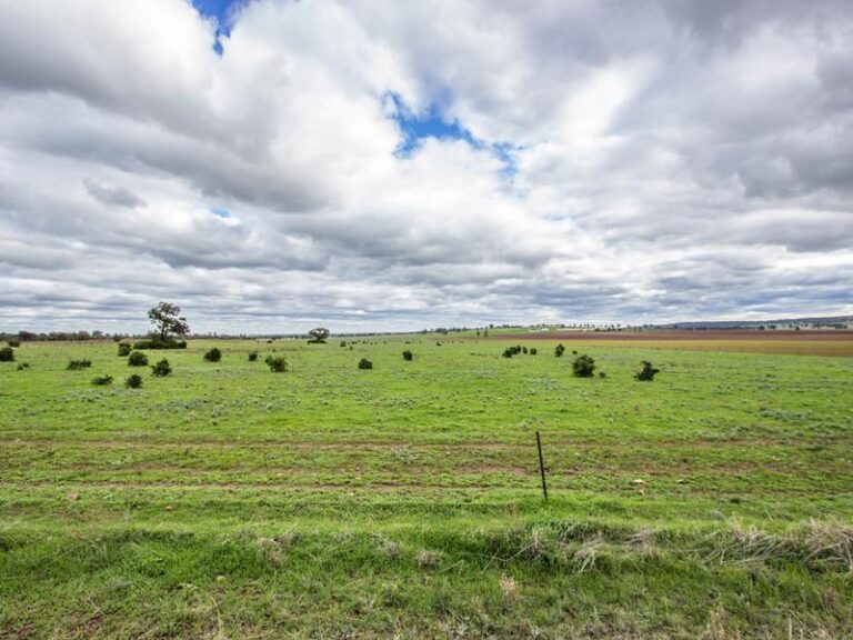 191 Manderlay Road, Narrandera NSW 2700 - photo 32