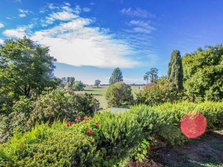 191 Manderlay Road, Narrandera NSW 2700 - photo 5