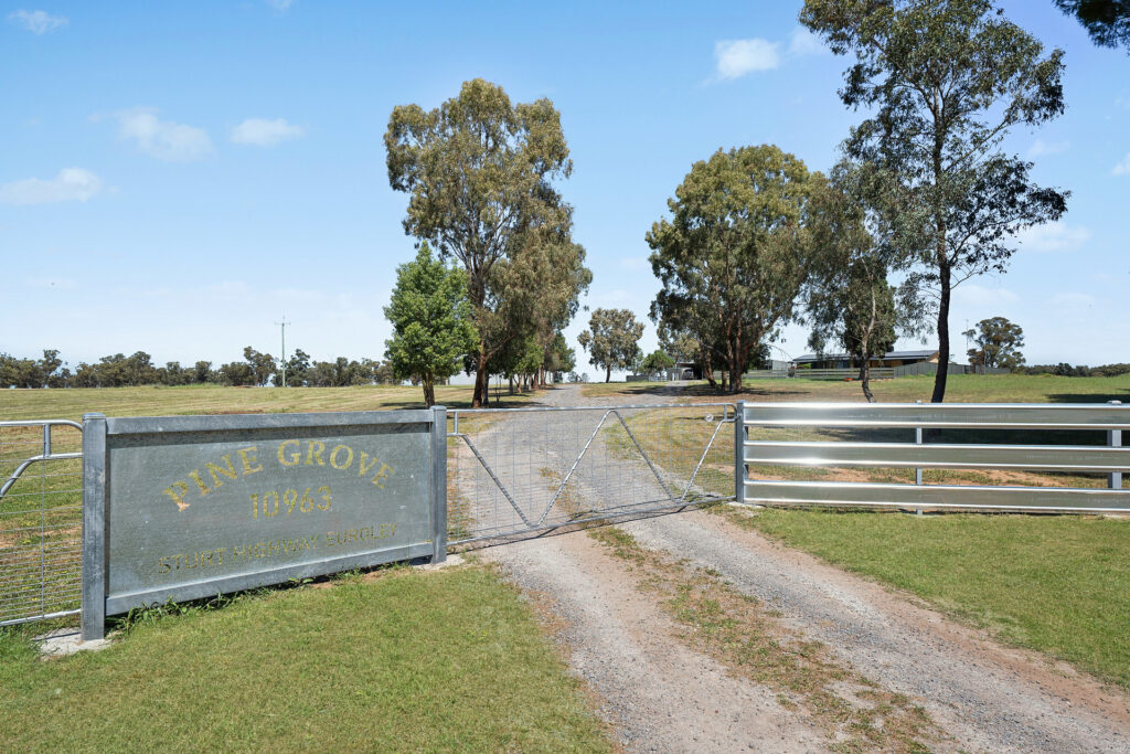 Sold - 10963 Sturt Highway - New Property in Narrandera - Real Estate by Andrew Pellow