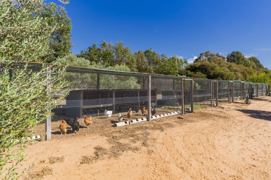 Sold - 52 Orchard Road - New Property in Narrandera - Real Estate by Jason Haines