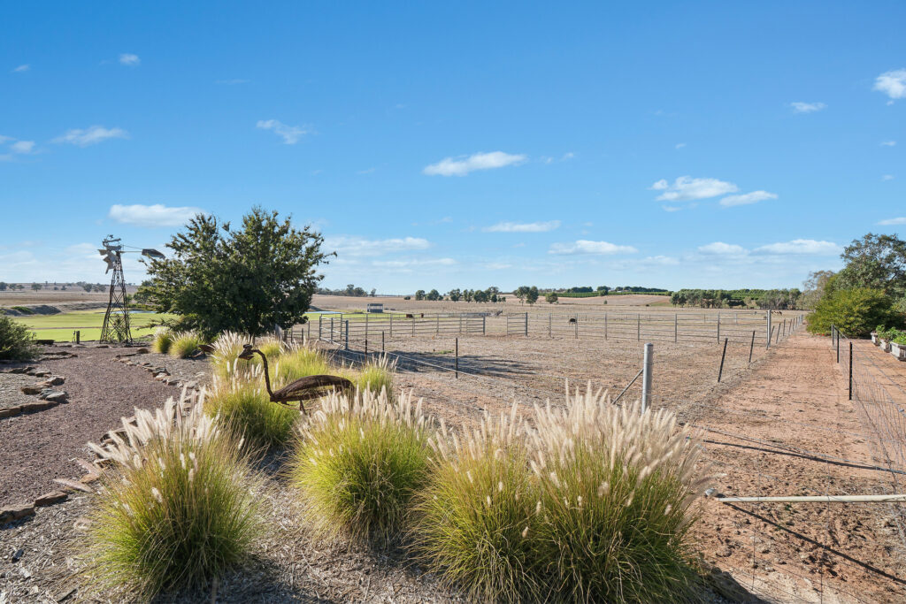 Sold - 52 Orchard Road - New Property in Narrandera - Real Estate by Jason Haines