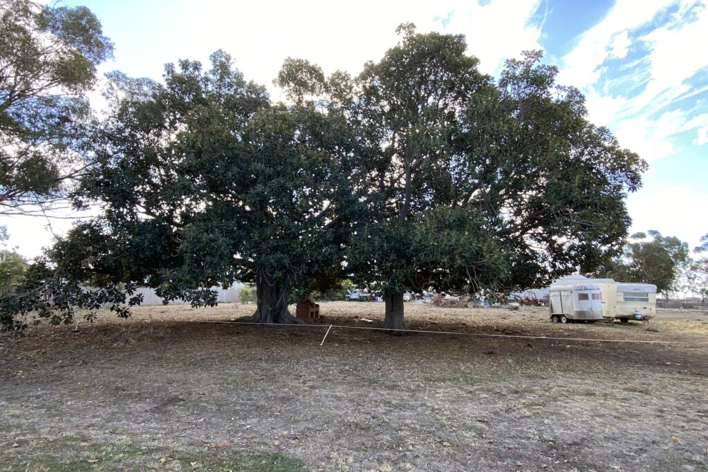 Sold - 1 Gordon Street - New Property in Carrathool - Real Estate by Sophie Litchfield