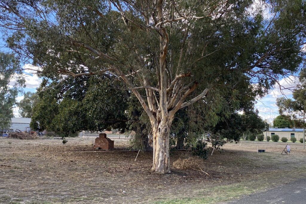 Sold - 1 Gordon Street - New Property in Carrathool - Real Estate by Sophie Litchfield