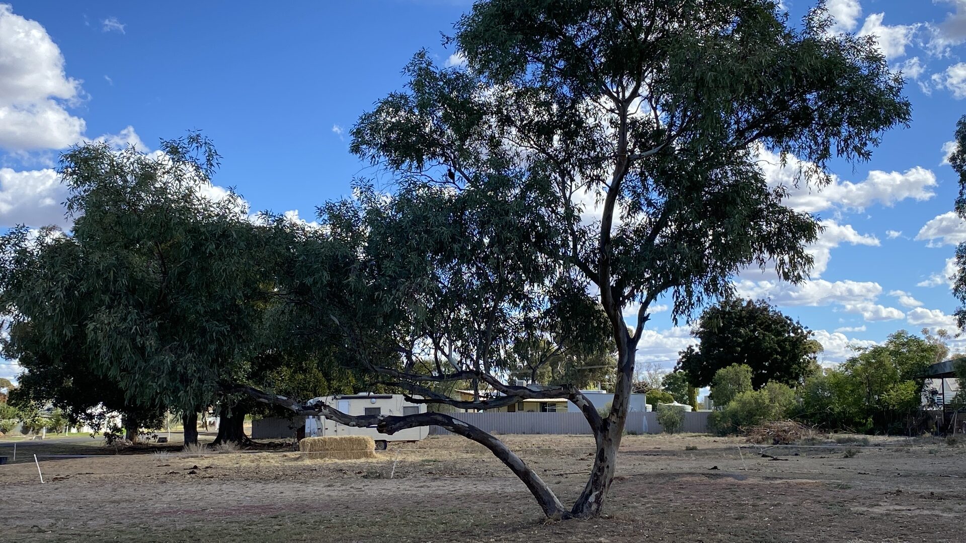 Sold - 1 Gordon Street - New Property in Carrathool - Real Estate by Sophie Litchfield