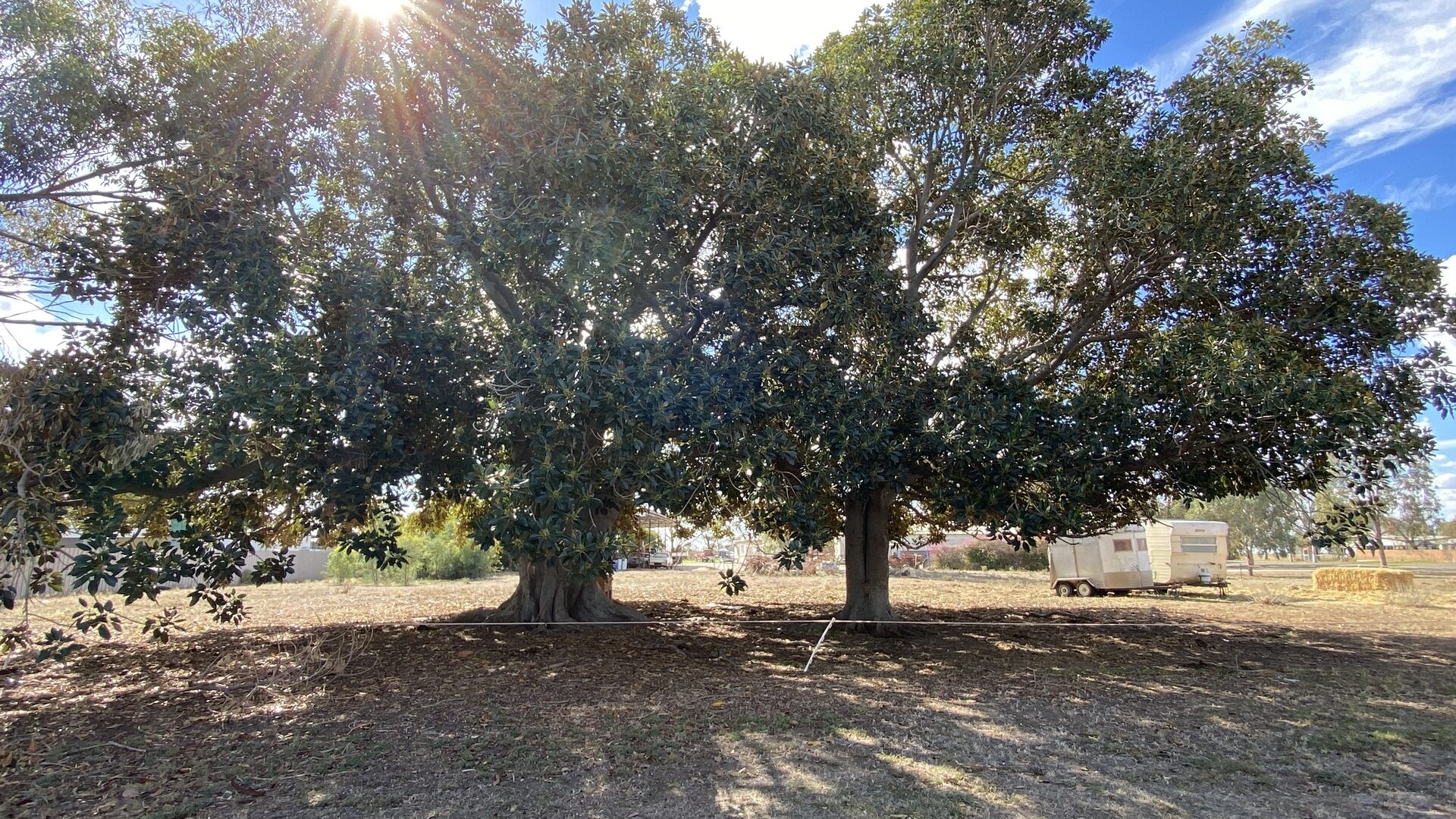 Sold - 1 Gordon Street - New Property in Carrathool - Real Estate by Sophie Litchfield