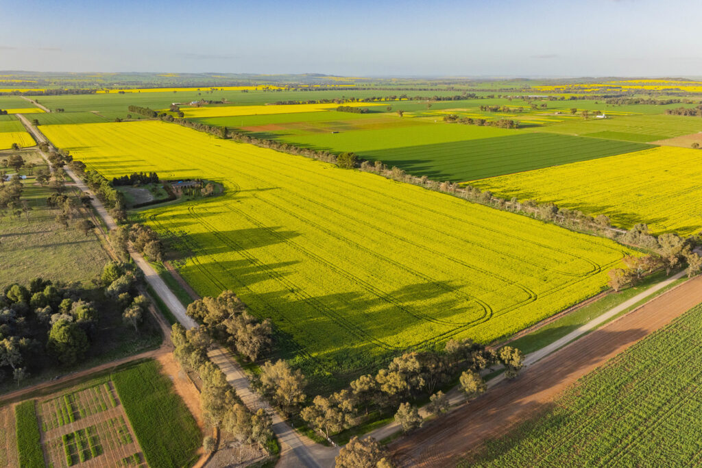 Sold - 44 Hatwells Road - New Property in Wagga Wagga - Real Estate by Andrew Pellow