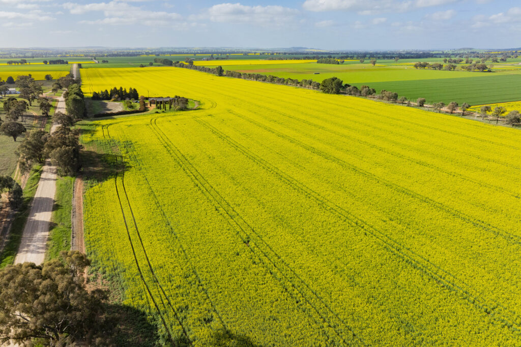 Sold - 44 Hatwells Road - New Property in Wagga Wagga - Real Estate by Andrew Pellow