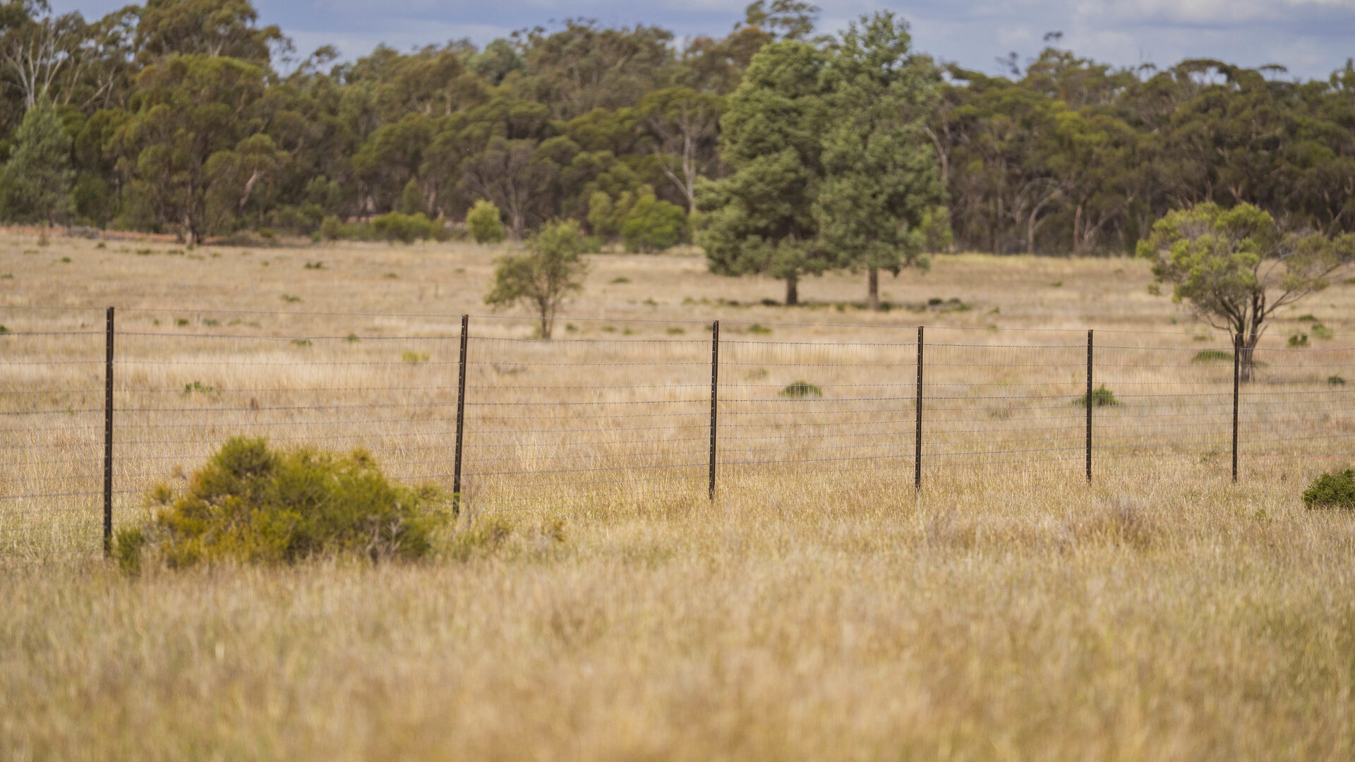 Sold - 1017 Wilga Ridge Road - New Property in Fifield - Real Estate by Ian Simpson