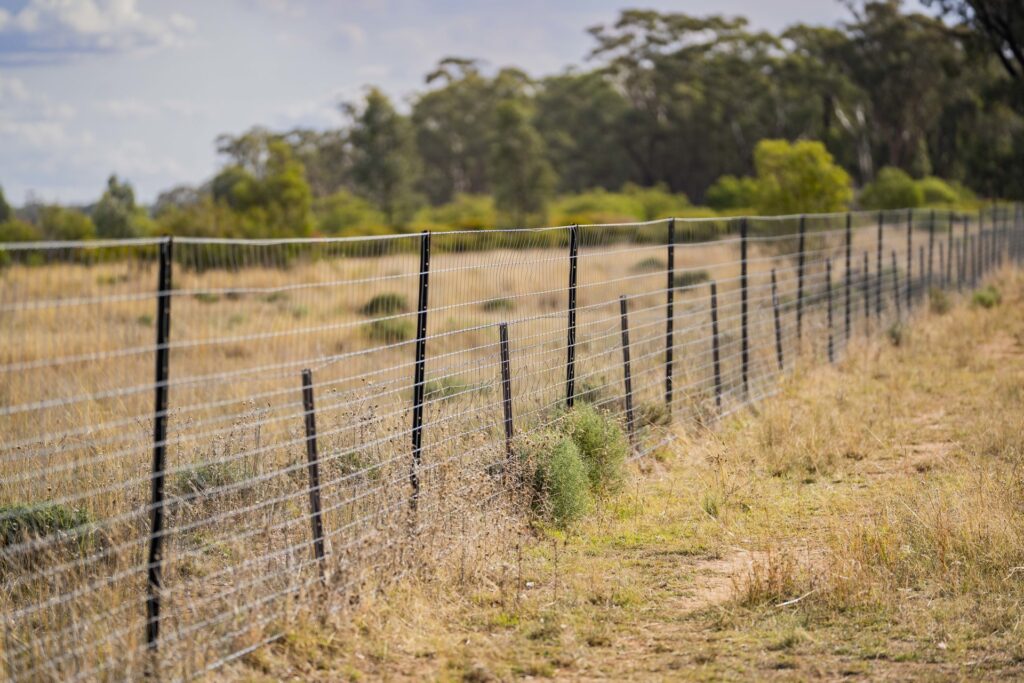 Sold - 1017 Wilga Ridge Road - New Property in Fifield - Real Estate by Ian Simpson