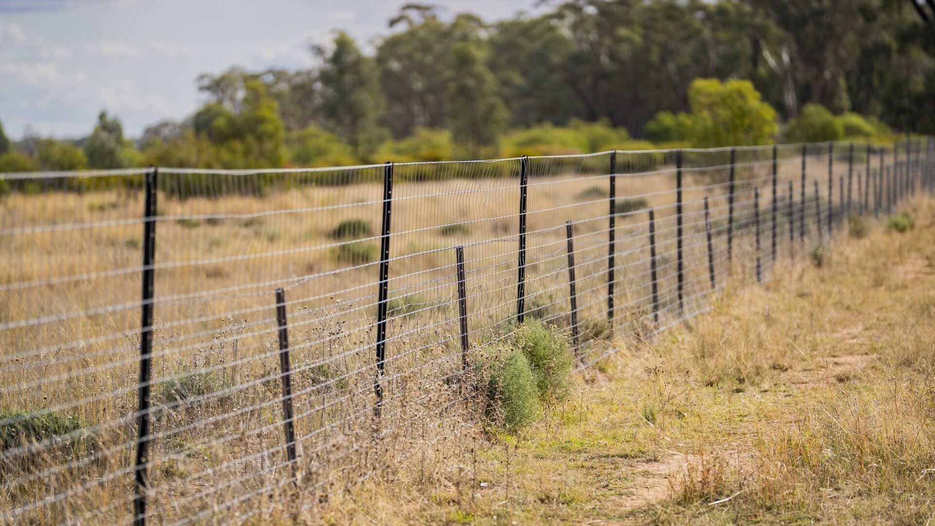 Sold - 1017 Wilga Ridge Road - New Property in Fifield - Real Estate by Ian Simpson